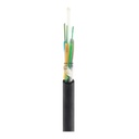 SMIC-FC-0029 4