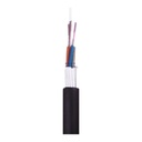 SMIC-FC-0030 4