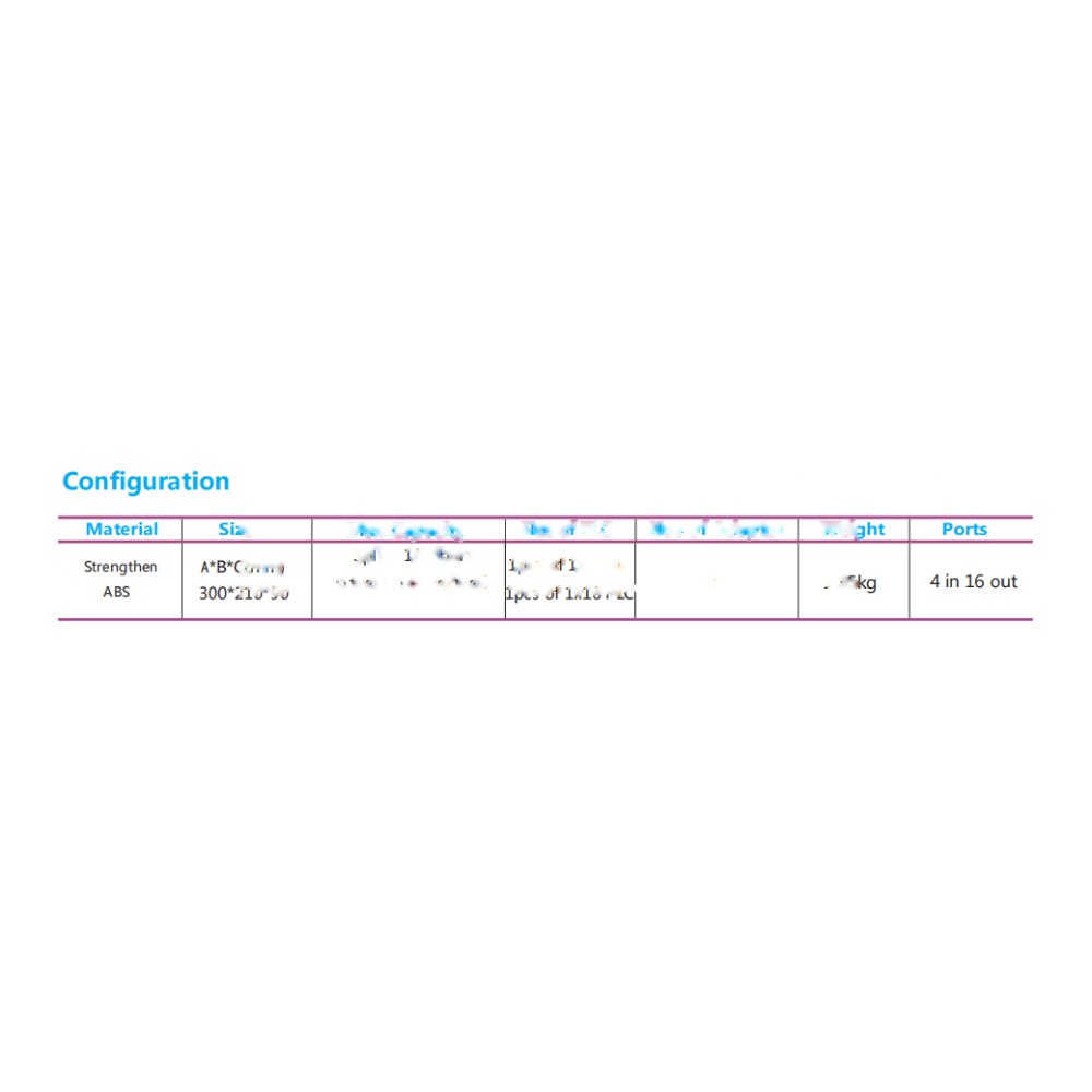 SMIC-FE-0042 2