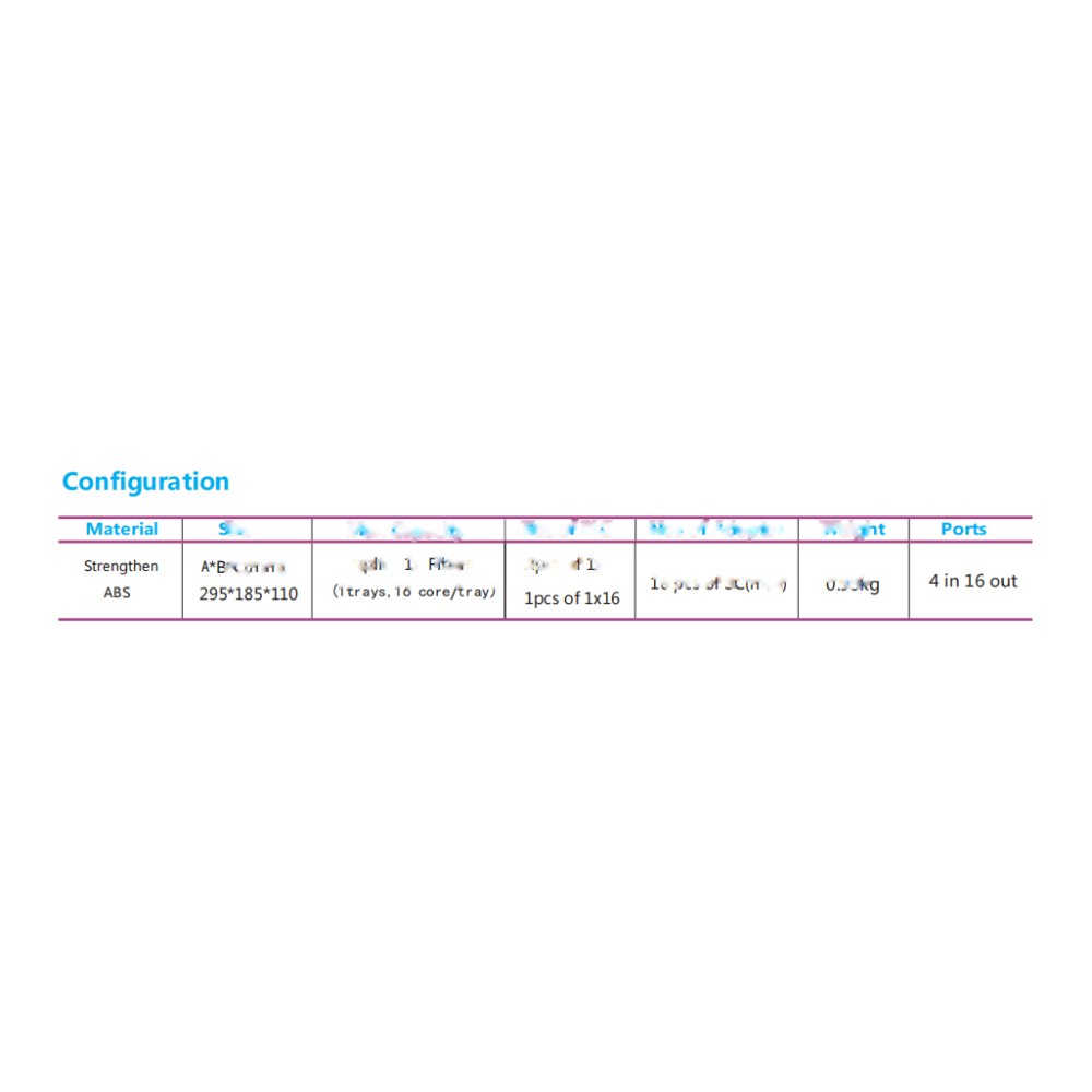 SMIC-FE-0051 2