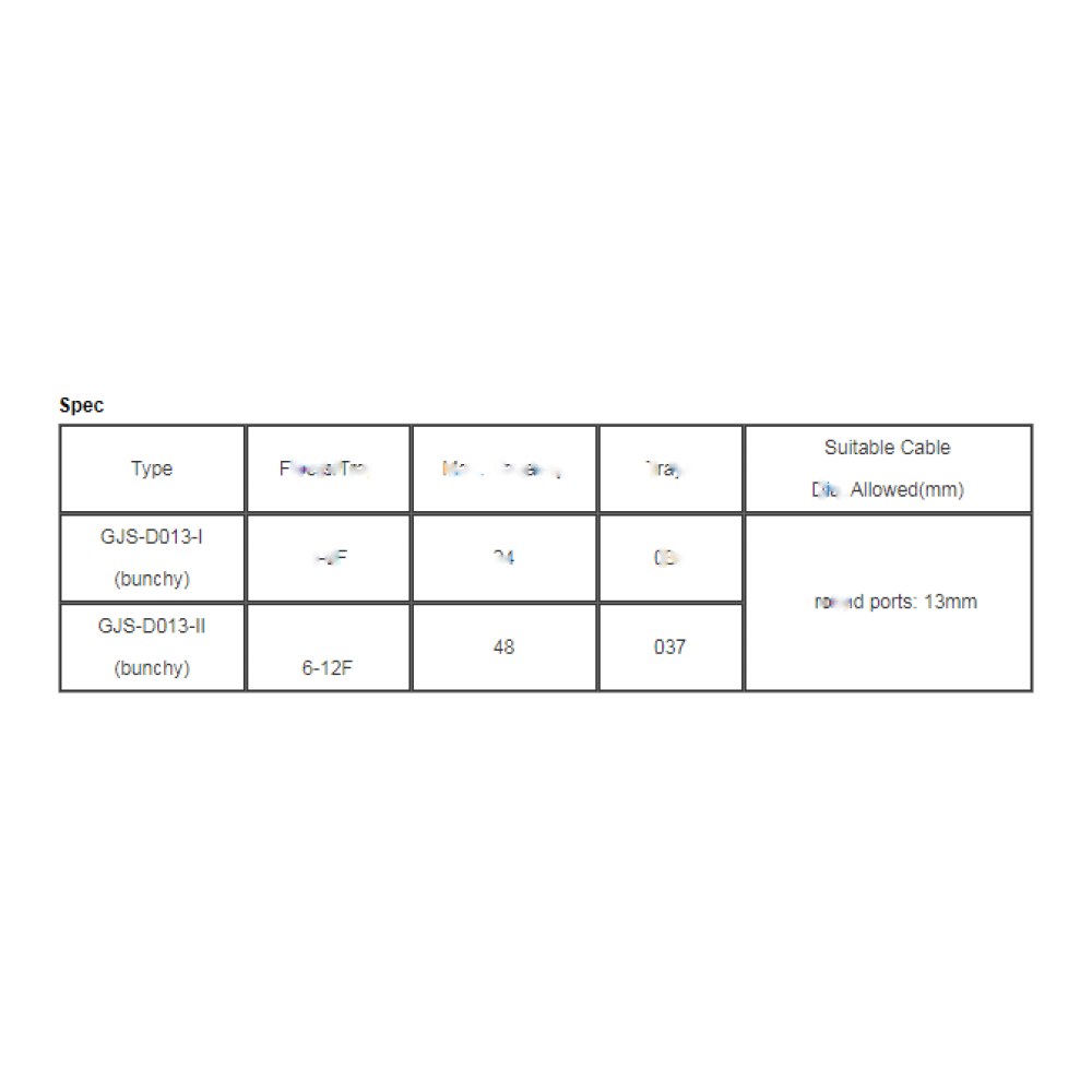 SMIC-FS-0005 3