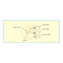 SMIC-FS-0019 3