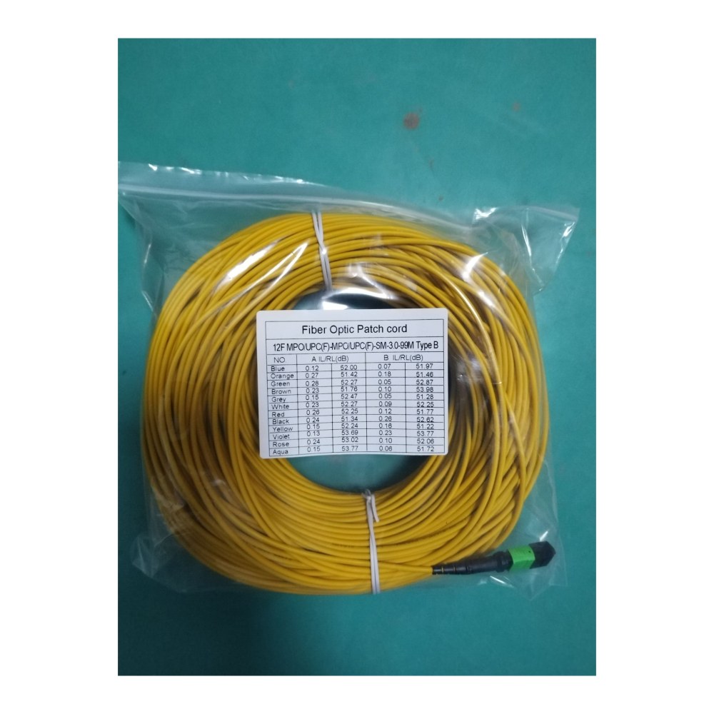 SMIC-FL-0009 2