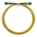 SMIC-FL-0009 3