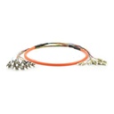 Multi core fibre patch cord