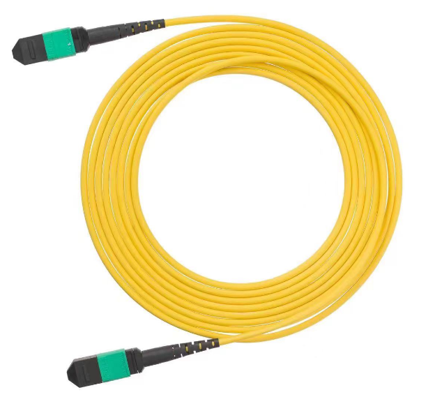 12cores Singlemode MPO Patch Cord 99M